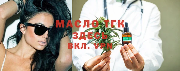 шишки Гусь-Хрустальный