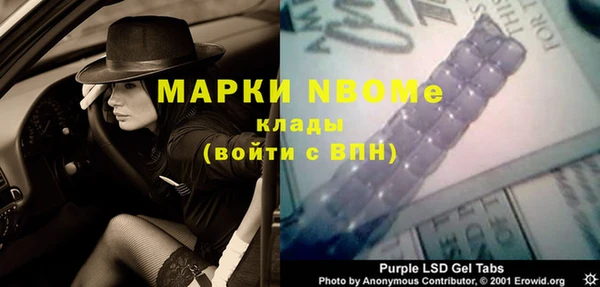шишки Гусь-Хрустальный