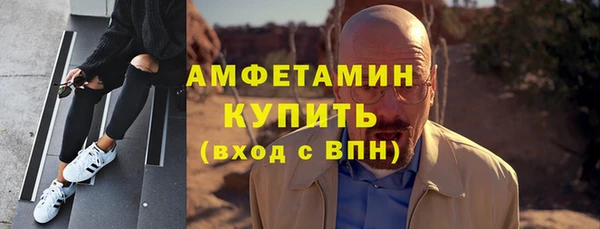 шишки Гусь-Хрустальный