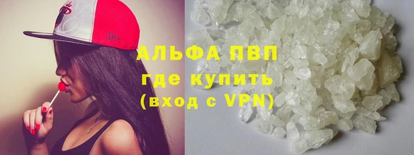шишки Гусь-Хрустальный