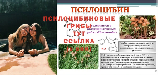 шишки Гусь-Хрустальный