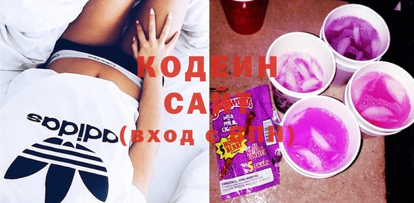 шишки Гусь-Хрустальный