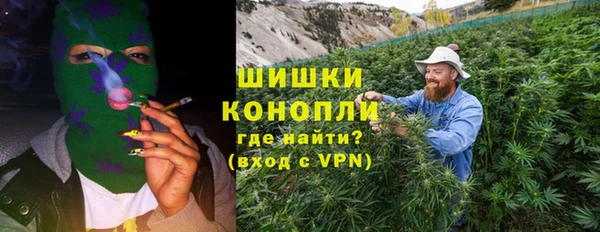 шишки Гусь-Хрустальный