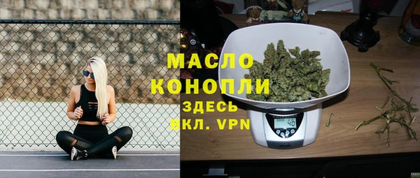 шишки Гусь-Хрустальный