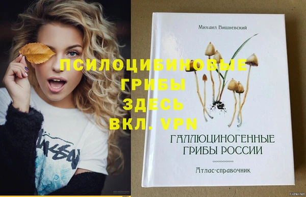 экстази Корсаков