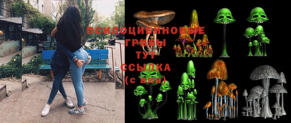 шишки Гусь-Хрустальный