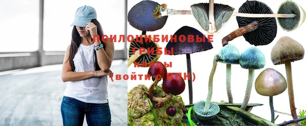 СК Гусиноозёрск