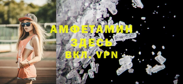 шишки Гусь-Хрустальный