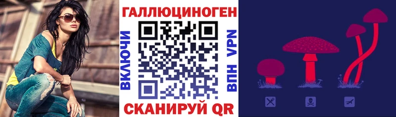 Галлюциногенные грибы Psilocybe  Снежногорск 