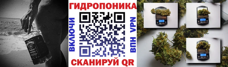 Шишки марихуана марихуана  Снежногорск 
